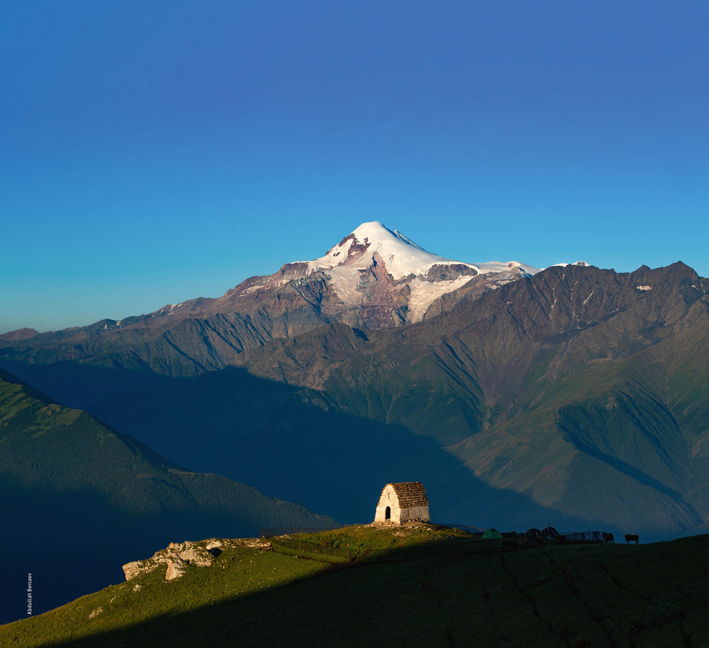 Chechnya and the North Caucasus